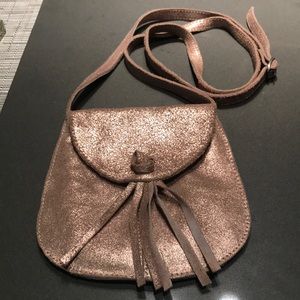 Metallic Mini Bag